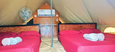 two beds in a tent with pink sheets and a fan at Tok Mat Village & Adventure Park in Kampong Kepayang