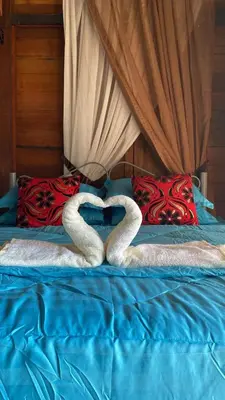 two swans making a heart on a bed at Belibis Yard in Kampar