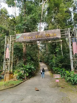 a person standing under a tree top walk sign at Inap Desa Jalan Baru in Kampong Sedim Number Two