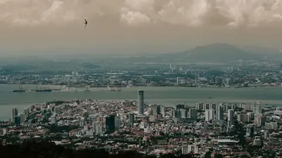 a city with a bird flying over the water at sea city cozy familystay 3br 10 pax in George Town