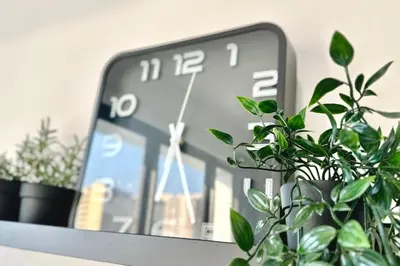 a clock sitting on top of a table with plants at Peaceful Abode Familystay 3 br 10 pax in George Town