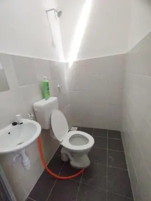 a bathroom with a toilet and a sink at Lilly Grove Homestay in Kampong Ayer Melintas Besar