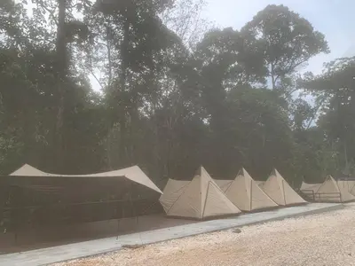 a row of tents with trees in the background at The HIJAU Camp & Cabin in Gopeng