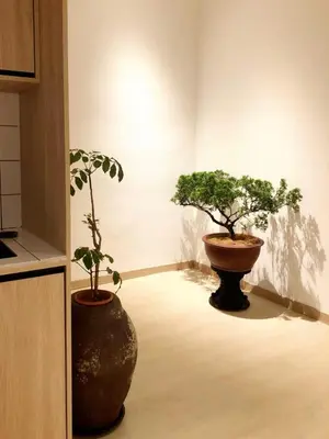 two potted trees are sitting in a room at Kazuki Boutique Accommodation in George Town