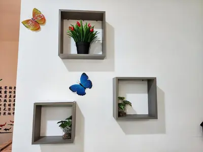 a wall with three mirrors and butterflies on it at Do not book in Ipoh