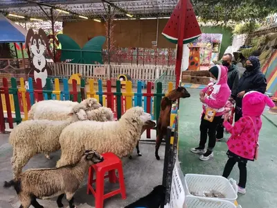 a group of sheep in a pen with people and goats at Kea Farm Sweet Cozy Resort Copthorne in Brinchang