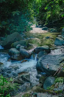 a stream of water with rocks in a forest at Villa Sapphire by Blue Robin - Private Taiping Villa 20pax River & Waterfall in Taiping