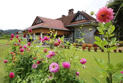 a house with pink flowers in front of it at Bukit Lowick Bungalow in Tanah Rata