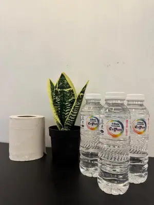 three bottles of water and a plant on a table at Industrial Loft Tinyhouse Homestay - 2 Queen Bed, Free Netflix, Prime & Wi-Fi Near Bukit Mertajam in Kubang Semang