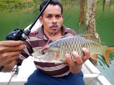 a man holding a fish with a fishing pole at House boat in Gerik