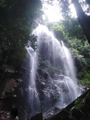 a waterfall in the middle of a forest at House boat in Gerik