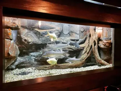 a fish tank with some fishes in it at 30A Studio Room Medan Ipoh with Pool Table in Ipoh