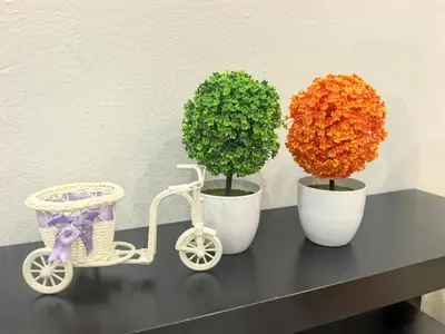 a table with two potted trees and a toy bike at 32 Homestay in Teluk Intan