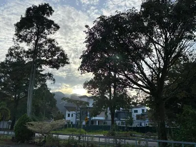 a group of trees in front of a house at Comfy21 Homestay Tambun, Ipoh in Ipoh