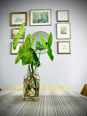 a glass vase with a plant in it on a table at N&N Modern Apartment in Kampong Padang Meha