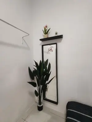a mirror on a wall with a potted plant at ZE VI Homestay,Tanah Rata in Tanah Rata