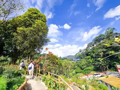 a group of people walking down a trail at Mossy Forest Family Retreat V, Kea Farm, 2-8 guests, Keafarm, Cameron Highlands in Cameron Highlands
