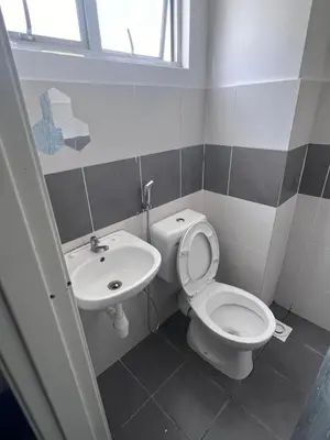 a bathroom with a toilet and a sink at AYAAN COZY PRIMA HOMESTAY FREE WiFi in Tanah Rata