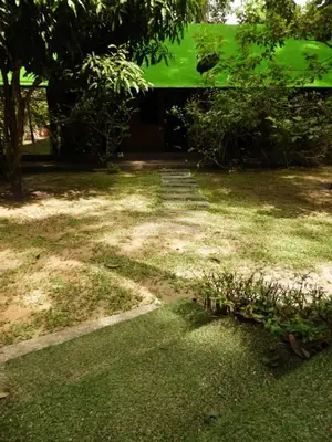a yard with a green roof and some grass at Escape to Nature Cozy Terrace Room by the River in Kampong Ulu Dong
