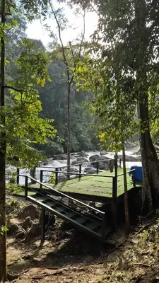 a wooden bench sitting in the woods near a river at Escape to Nature Cozy Terrace Room by the River in Kampong Ulu Dong