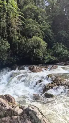 a river with rapids and rocks in a forest at Escape to Nature Cozy Terrace Room by the River in Kampong Ulu Dong