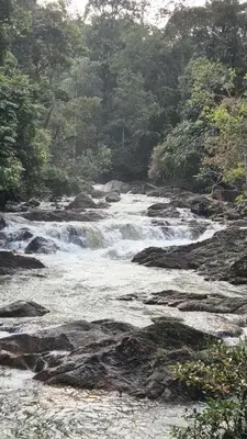 a river with rapids on the rocks and trees at Escape to Nature Cozy Terrace Room by the River in Kampong Ulu Dong