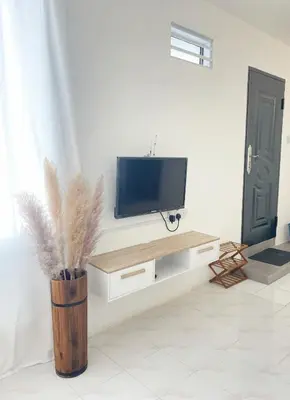 a living room with a television and a vase with feathers at Muji Zen Minimalist Guest House in Teluk Intan