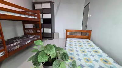 a bedroom with two bunk beds and a potted plant at 2BR Lively City View Family Suite#Airport in Bayan Lepas