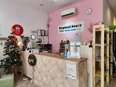 a store with a christmas tree on the wall at Elephant House Hotel in George Town