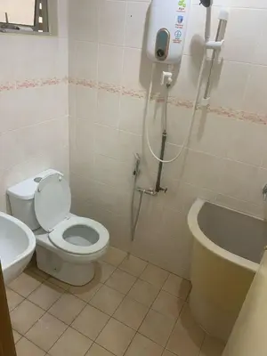 a bathroom with a toilet and a shower in it at TD Homestay in Ipoh