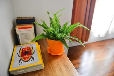 a plant sitting on a table next to a book at Sarang Paloh Heritage Stay in Ipoh