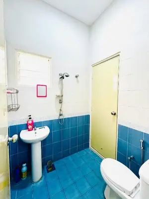 a bathroom with a sink and a toilet at Teha Homestay Botani in Ipoh