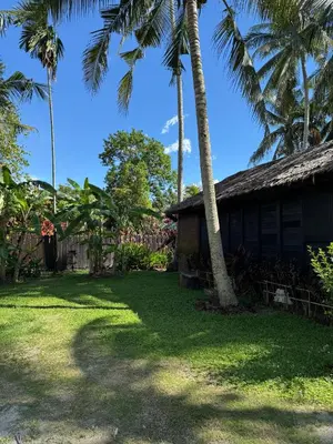 a house with palm trees in front of a yard at Rumah Inap Kampung Agong Tempua in Penaga