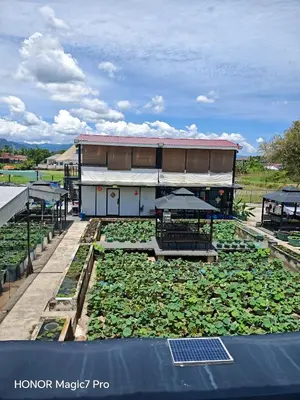 a building with a lot of plants in front of it at deLotus Villa in Simpang
