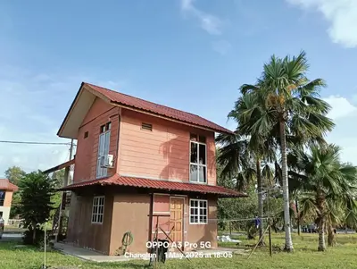 a house in a field with palm trees at Zarif homestay in Gua Sai