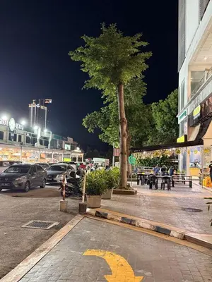 a tree on the side of a street at night at THE CEO 3 BEDROOM near USM SPICE ARENA PANTAI SPECIALIST AIRPORT in Bayan Lepas