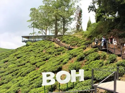 a sign that says bot on the side of a hill at Vika Homestay in Brinchang