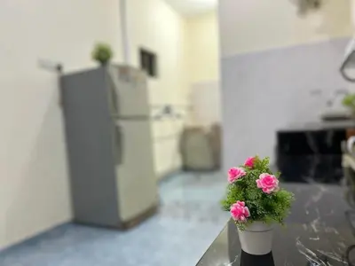 a potted plant sitting on a counter in a kitchen at S Home Ipoh in Ipoh