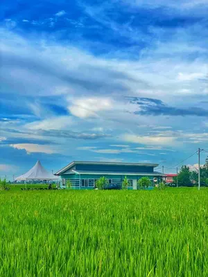 a building in front of a field of green grass at Rumah Teduh in Gua Sai