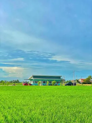 a large green field with a building in the background at Rumah Teduh in Gua Sai