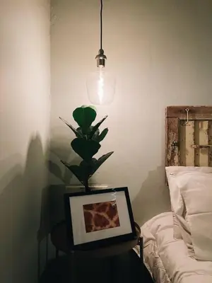 a room with a table with a plant and a light at Very Hotel in George Town
