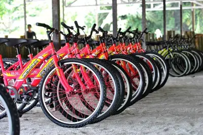 a row of red bikes parked next to each other at Tatami Room Malay Wooden Stay in Balik Pulau