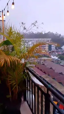 a balcony with plants and a view of a city at #MyMidoriGetaway , CameronFair, Cameron Highlands in Tanah Rata