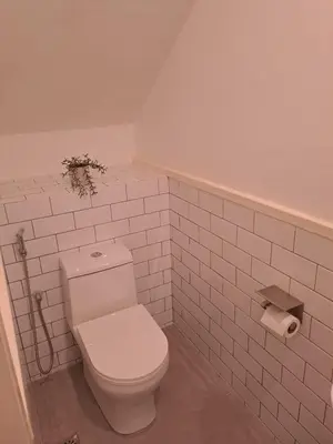 a bathroom with a white toilet and a toilet paper dispenser at Georgetown vintage garden 5pax 2BR Homestay in George Town