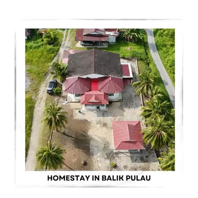 an overhead view of a house with palm trees at Homestay The White House Balik Pulau Penang in Balik Pulau