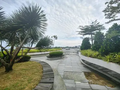 a garden with a palm tree and a walkway at Cozy City Stay at Kuching Prime location in Gua Sai