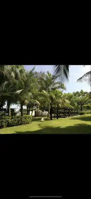 a group of palm trees in a park at By The Sea in Batu Ferringhi