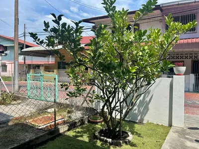 a small tree in a yard next to a fence at Wenya Elegant Homestay \u5927\u4e38\u6587\u96c5\u540d\u5bbf in Pangkor