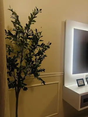 a plant in a room next to a tv at Nameera Stay Bandar Universiti Seri Iskandar in Seri Iskandar
