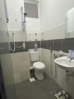 a bathroom with a toilet and a sink at Syahoney Homestay 2 with NETFLIX in Tanah Rata